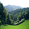 Yagyu Valley